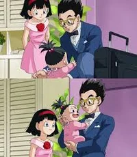 Dbs gohan family