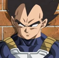 Prince Vegeta 