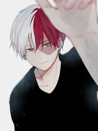 Shoto Todoroki