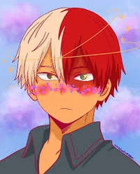 Todoroki Shoto 