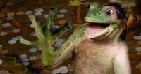 Frog tf