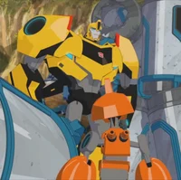 Bumblebee RiD2015