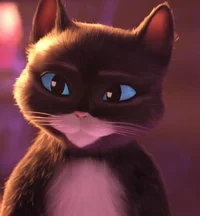 Kitti patitas suaves