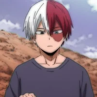 Todoroki Shoto 