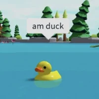 ducky owo
