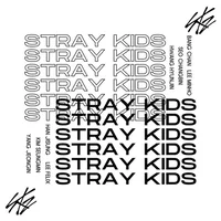 stray kids