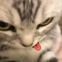 keilyta