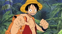Upper yard Luffy 