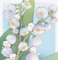 lily