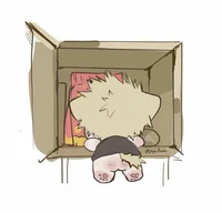 Bakugou chibi gatito