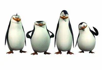 Los penguinos 