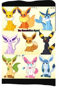 Eevelution squad 