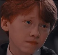 Ron Weasley 