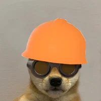 Red Engineer Dog
