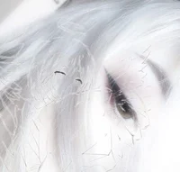 -- Info and contacts