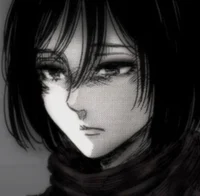 NERD mikasa ackerman