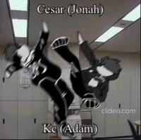 Kc an Cesar da salad