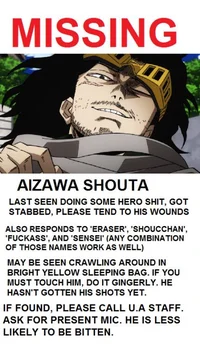 Mr Aizawa 