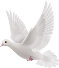 The Heavenly Virtues