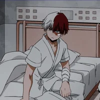 Shoto Todoroki
