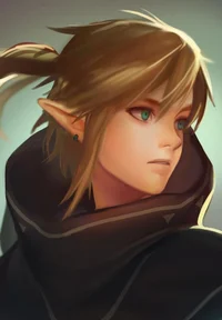 Link-botw