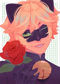 Chat Noir
