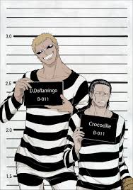 Doflamingo-Crocodi