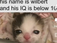 Wilbur
