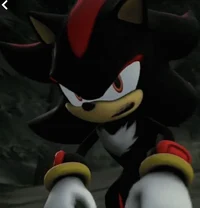 Shadow the Hedgehog