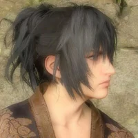 Noctis Lucis Caelum