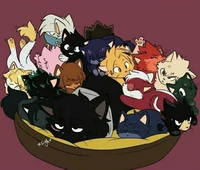 MHA cats