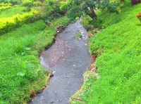 SCP-006 Youth Founta