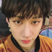 Bang Chan 