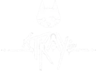 Stray - 1 Year Later