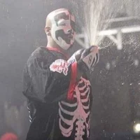Shaggy 2 Dope