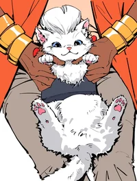 Polnareff the cat