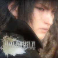 Noctis Lucis Caelum