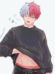 Shoto Todorki