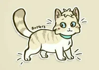 Cat butter 
