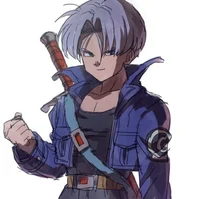Trunks Brief