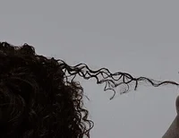 Male bellatrix black