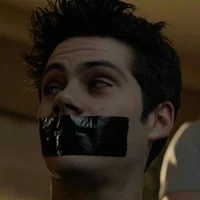 Void Stiles