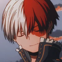 Shoto Todoroki