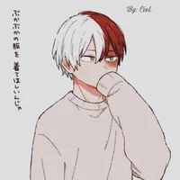 Todoroki novio