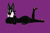 Cartoon-cat-fem