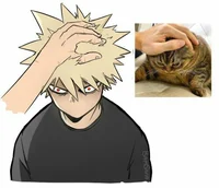 Bakugo Katsuki