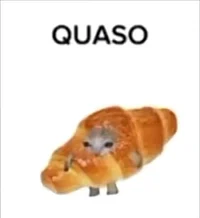 Quaso