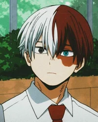 Shoto Todoroki