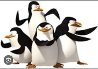 Madagascar penguins