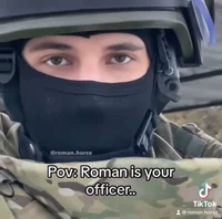 Roman partizan